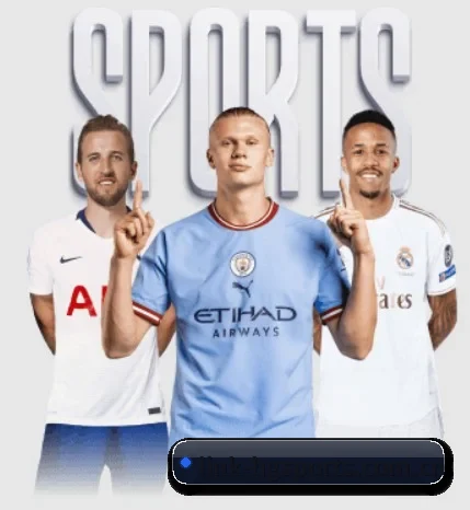 link-hgsports.com.cn的故事
